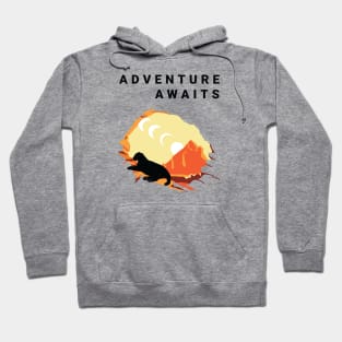 Adventure awaits Hoodie